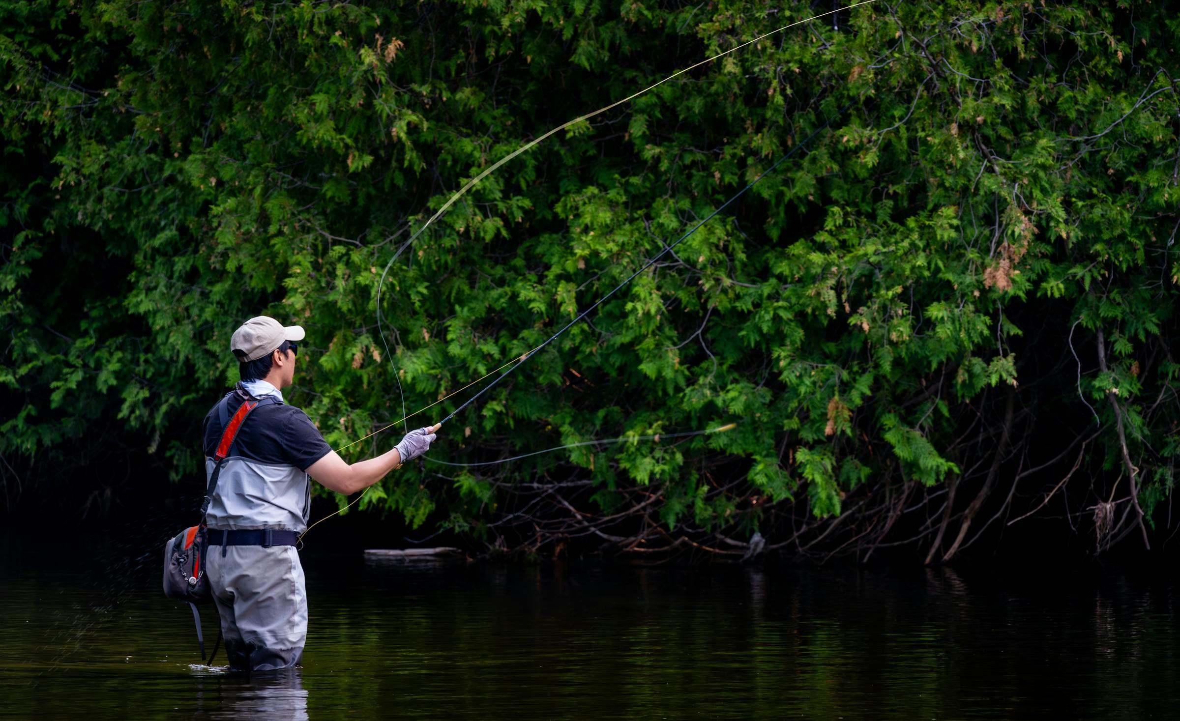 An angler casting a fly line on a forested river